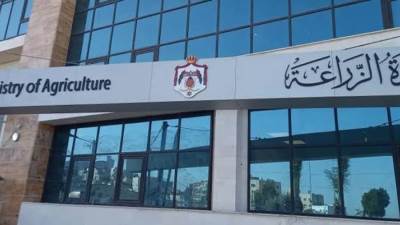 ظهور النمل الأبيض المجنح.. «الزراعة» لـ المواطنين: «المبيدات متوفرة لمواجهته»