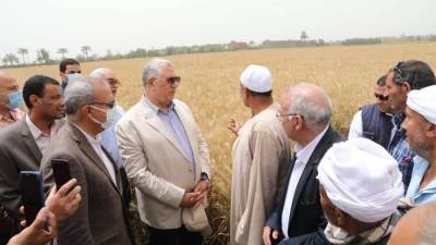 وزير الزراعة خلال زيارته أحد حقول القمح: متابعة مستمرة لعمليات الحصاد والتوريد والتيسير على المزارعين وضمان  سرعة حصولهم على مستحقاتهم 
