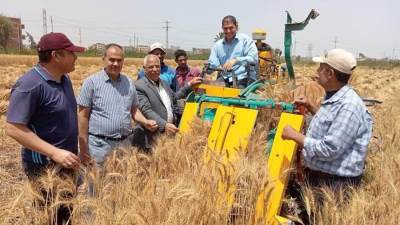 الزراعة خلال وقفة عيد الفطر تتابع حصاد وتوريد القمح في المحافظات وتتصدى للتعديات على الأراضي الزراعية