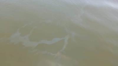 ظهور بقعة سولار بنهر النيل في محافظة سوهاج .. وتوقف محطة مياه بطهطا