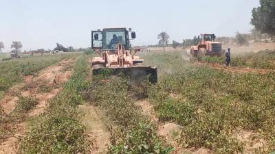 حملات مستمرة لمواجهة «العشوائية» بمدينة العاشر 