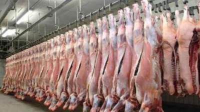 التموين:ضخ يومي للحوم السودانية يصل 120 طن بمناسبة عيد الأضحى المبارك