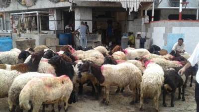 التنمية المحلية:تعليمات مشددة للمحافظات بالتعامل الآمن مع لحوم الأضاحى ومخلفاتها خلال فترة عيد الاضحى المبارك