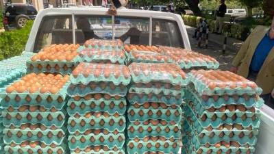 الزراعة تطرح كميات من «بيض المائدة» بسعر 62 جنيه للكرتونة 