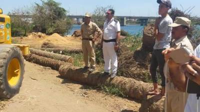 إزالة 16 حالة تعدى على أملاك الدولة ضمن حملات الموجة ال20 بدمياط