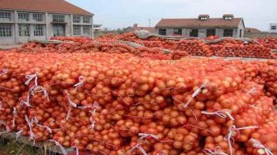  وزير الزراعة يعلن فتح الأسواق الباكستانية أمام البصل المصرى