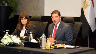 شركة مساهمة للمصريين بالخارج لطرح أسهم في المشروعات القومية.. ما القصة؟