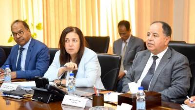 تفاصيل اجتماع وزيري المالية والهجرة: تطبيق إلكتروني لتقديم الخدمات للمصريين بالخارج