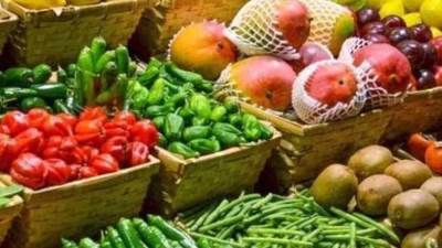 4.7 مليون طن ..  حصيلة صادرات مصر الزراعية هذا العام 