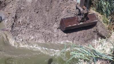 حملة مكبرة لإزالة 28 فدان مزارع سمكية مخالفة جنوب بورسعيد