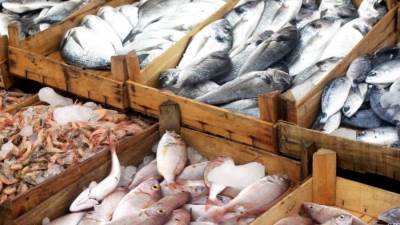 انخفاض سعر البلطي.. أسعار السمك اليوم الأحد 2-10-2022