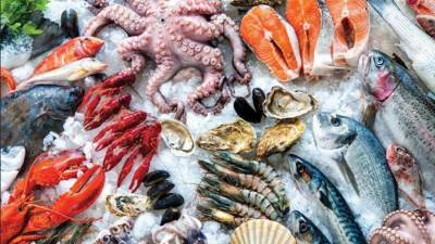 ارتفاع البلطي.. أسعار السمك اليوم الأربعاء