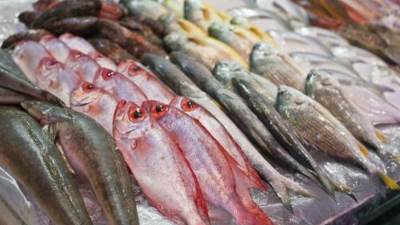 زيادة في البلطي.. أسعار السمك اليوم الأحد 9-10-2022