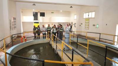 بالصور .. جولة تفقدية لرئيس «مياه الإسكندرية» على عدد من المحطات وفروع خدمة العملاء 