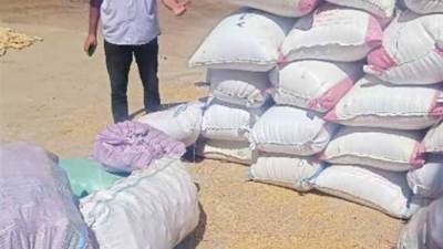 الداخلية: ضبط 840 طن أرز شعير وأبيض تم حجبها عن البيع خلال 24 ساعة