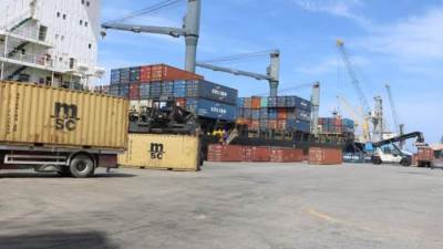 الزراعة: الإفراج عن 120 ألف طن من «الذرة والصويا» ب 62 مليون دولار