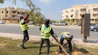 بالتعاون مع جهاز القاهرة الجديدة.. «TBK» للتطوير العقاري تتولي  تطوير  أعمال التشجير بـ 4 محاور رئيسية بالتجمع