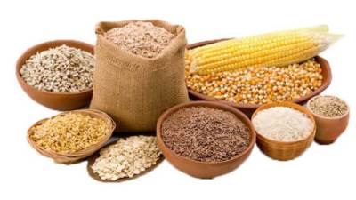 الذرة والصويا على رأس الأولويات.. متحدث الزراعة: الإفراج عن 1.255 مليون طن من البضائع