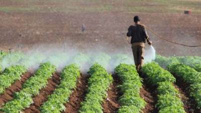 «الزراعة» تنفي وجود مبيدات زراعية محظورة فى الاسواق 