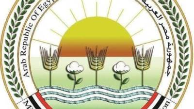 «الزراعة»: إيرادات «الإصلاح الزراعي» تجاوزت 748 مليون جنيه لعام 2022