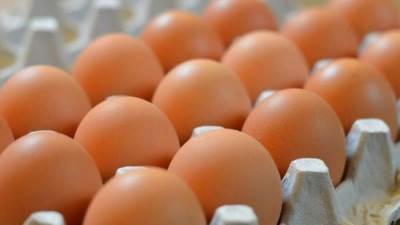 رئيس شعبة المواد الغذائية في الإسكندرية: انخفاض أسعار الألبان والجبن خلال أسبوع