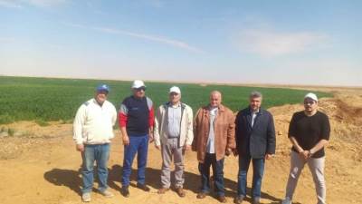 وزير قطاع الأعمال من توشكى: التوسع في زراعة القمح وزيادة مساحته إلى 50% 