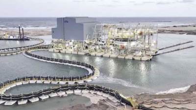 «معلومات الوزراء»:1.3 مليار متر مكعب حجم الاحتياطي الجيولوجي من الرمال السوداء في مصر