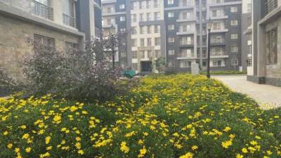 رئيس الجهاز:تسليم 8357 قطعة أرض بمشروع بيت الوطن و3876 أكثر تميزا بالقاهرة الجديدة