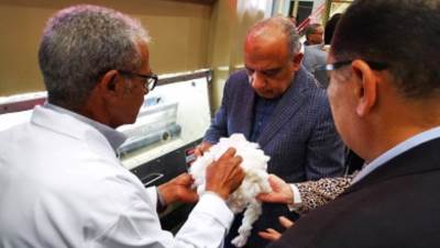 قطاع الأعمال: بيع 1.6 مليون قنطار قطن بإجمالي 8.9 مليار جنيه