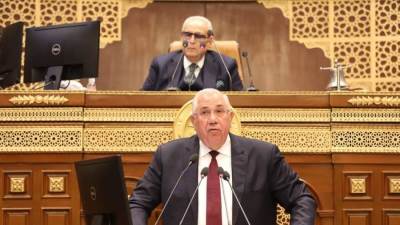 وزير الزراعة أمام «الشيوخ»: جهود كبيرة للدولة لتحقيق قدر من الاكتفاء الذاتي