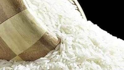 رئيس الشعبة: لدينا زيادة في الإنتاج حوالي 6 مليون طن أرز شعير