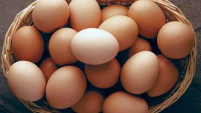 رئيس الشعبة: «أسعار البيض ترتبط بسياسة العرض والطلب» (فيديو)