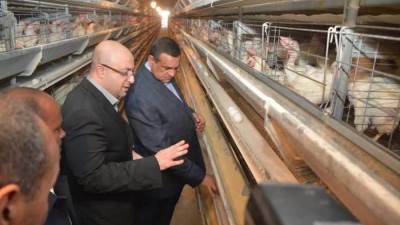 «آمنة» يشيد بجهود محافظة بنى سويف فى مجال القطاع الداجني