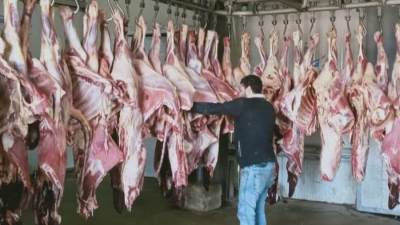 «التموين»: ضخ من 25 إلى 30 طنًا من اللحوم سودانية يوميًا بسعر 165 فى رمضان