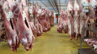 محافظ القاهرة يوجه بتكثيف الحملات على الأسواق وتشديد الرقابة على محال بيع اللحوم  والدواجن
