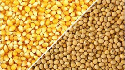 الزراعة فى أسبوع ..الإفراج عن 140 ألف أعلاف بحوالى 60 مليون دولار