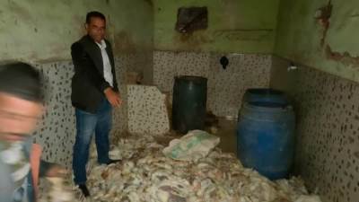 محافظة الجيزة: ضبط 1.2طن دواجن نافقه بالبدرشين قبل تجهيزها وطرحها بالأسواق