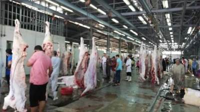 محافظ الجيزة : فتح المجازر بالمجان طوال أيام عيد الأضحى المبارك