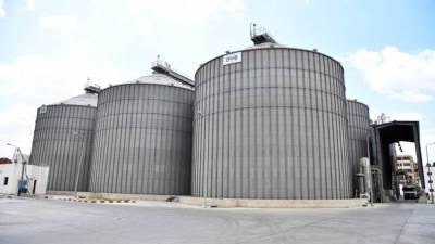 توريد 161 ألف 627 طن من القمح بمخازن الغربية بنسبة 92.6 %