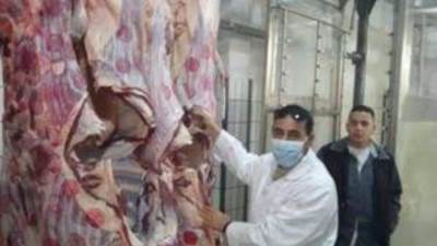 محافظة الجيزة: إلغاء أجازات الأطباء البيطرين والعاملين بالمجازر  وتكثيف الرقابة على الأسواق