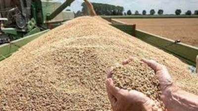 الإحصاء: 20.4% انخفاضا في قيمة الواردات المصرية من الحبوب خلال الـ4 شهور الأولى من 2023