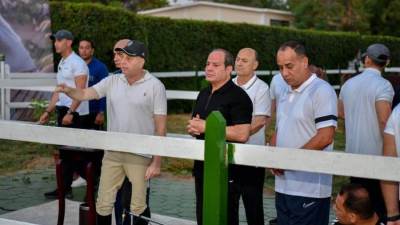 السيسي: 350 مليون دولار قيمة توفير المازوت اللازم لتشغيل محطات الكهرباء بكامل طاقتها