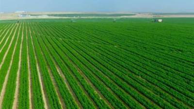 «مدبولى»:  مشروعات مستقبل مصر والدلتا الجديدة تستهدف استصلاح وزراعة نحو مليوني فدان