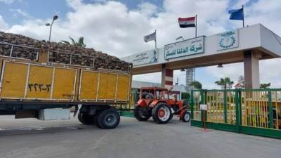  «الدلتا للسكر»: لدينا مخزون استراتيجي يكفي لشهر إبريل