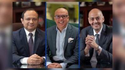 مجلس إدارة «ماونتن فيو» يصدر قرار بتعيين وائل عز ووائل لطفي كرئيسين تنفيذيين لقيادة الشركة