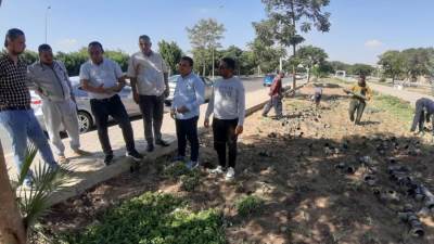 رئيس جهاز الشروق يُتابع أعمال الزراعه والتجميل الجاريه بمدخلى المدينه والمحور الغربى