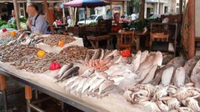 الحكومة تنفي تداول أسماك نافقة بالأسواق بعد ظهورها على سواحل ميناء الإسكندرية