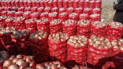 «الزراعة» :حملات تفتيشية على «مفارش البصل» بجميع المحافظات لضبط الأسعار