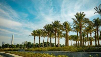 شركة العاصمة الإدارية تطبق حوافز البناء الأخضر  للمشروعات الاستثمارية