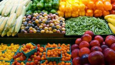 «الزراعة»: الصادرات الزراعية أهم موارد النقد الأجنبى وليس لها علاقة بارتفاع الأسعار